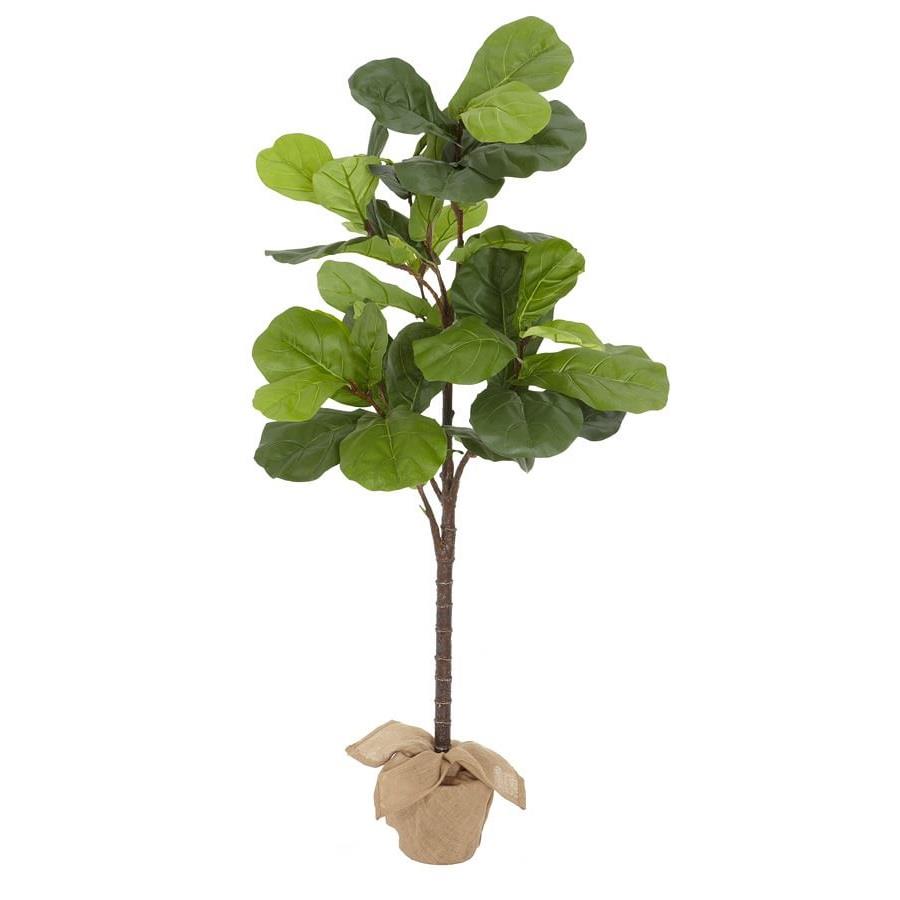 Pottery Barn Potted Fiddleleaf