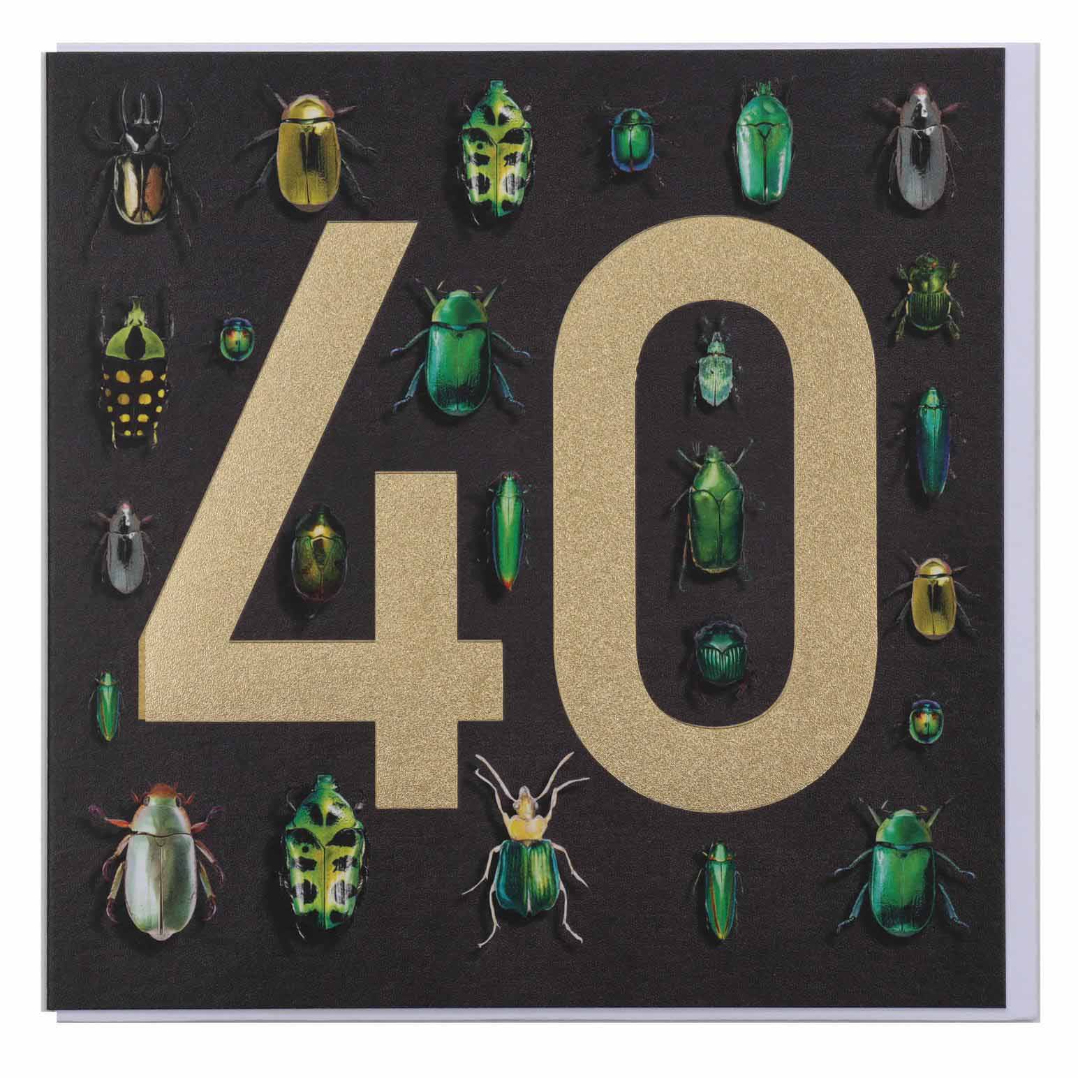 Museums & Galleries Beetles 40 Card
