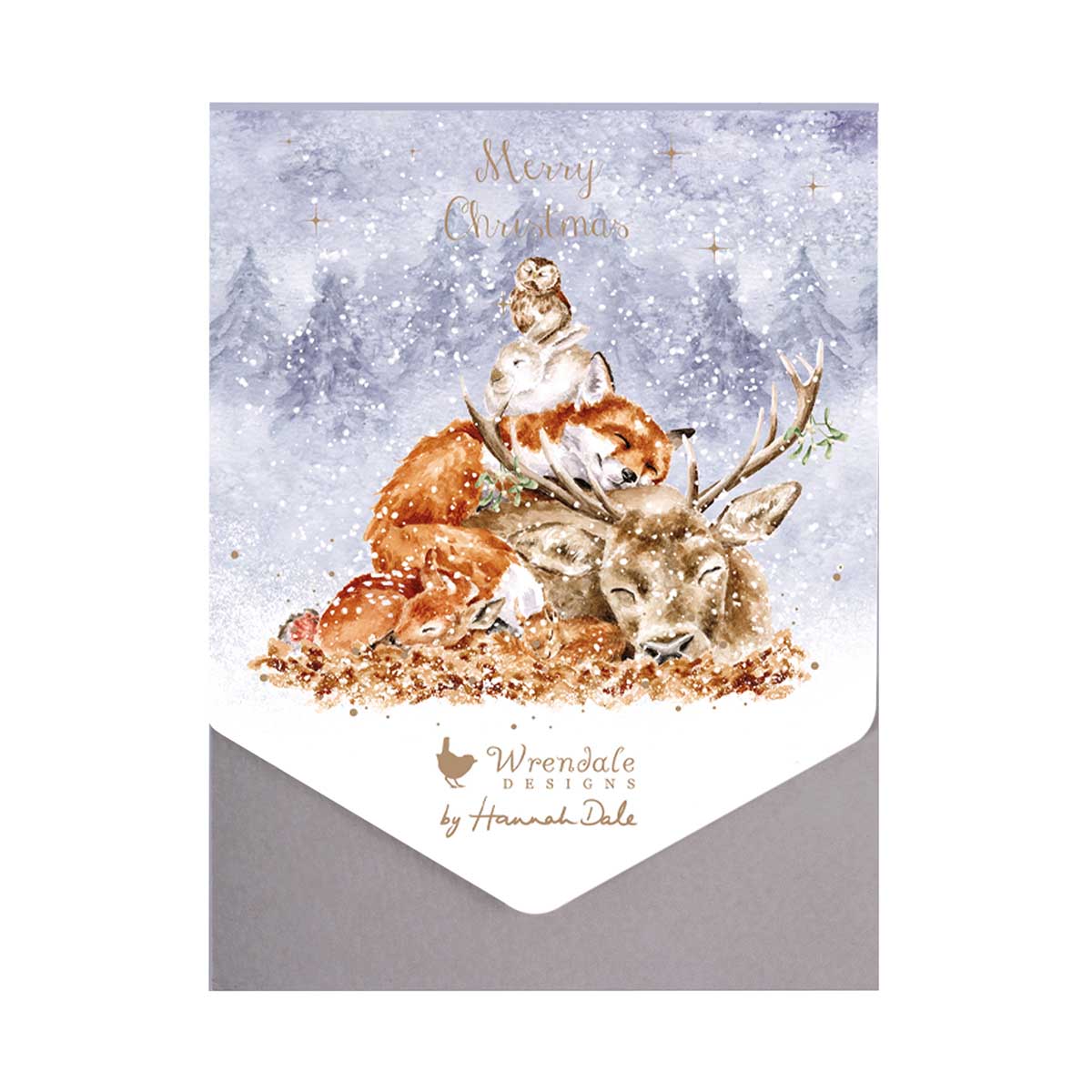 Wrendale Comfort And Joy Christmas Card Box of 8