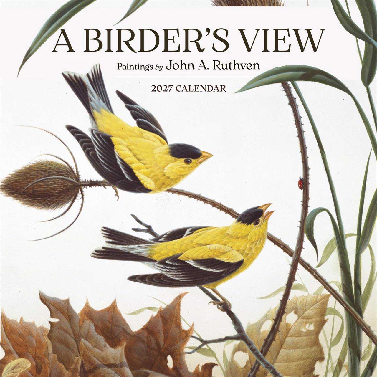 Pomegranate A Birders View Wall Calendar 2027
