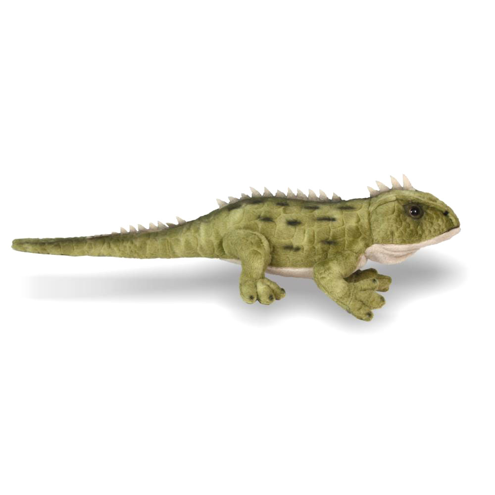 Antics Tuatara W Sound