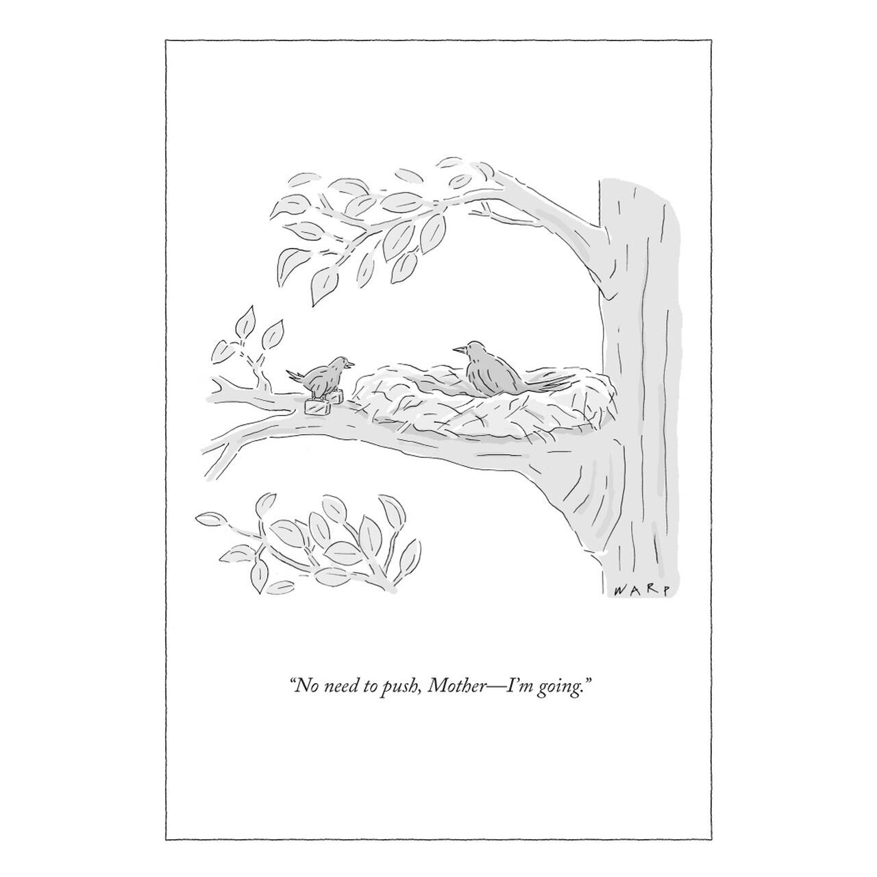 No Need to Push Mother's Day Card