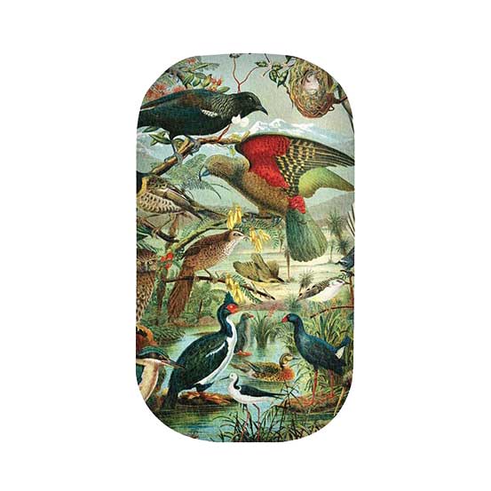 NZ Native Birds Trinket Box