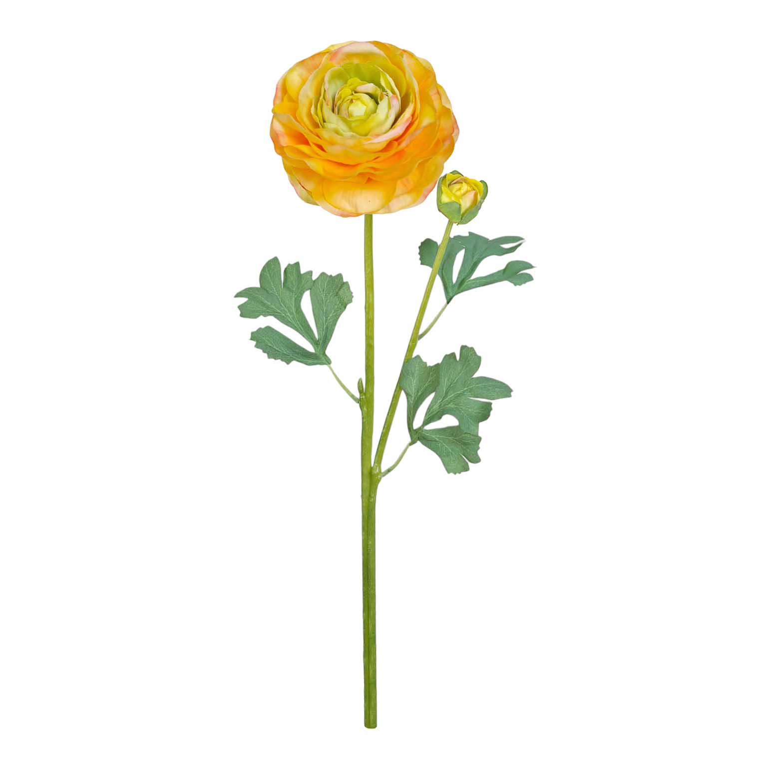 Alison's Acquisitions Large Ranunculus With Bud Yellow