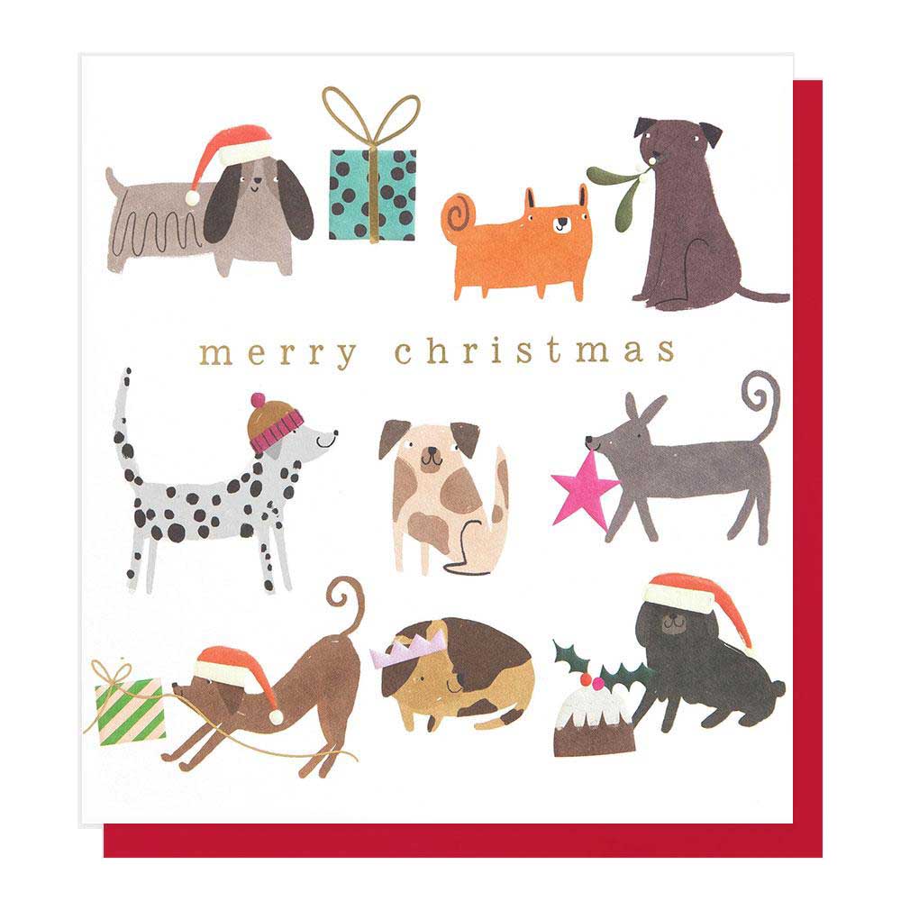 Caroline Gardner Merry Christmas Dogs Festive Activities Card