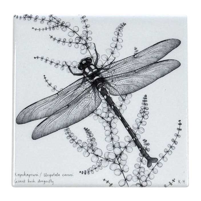 Katy Hayward Coaster - NZ Giant Dragonfly/Kapokapowai