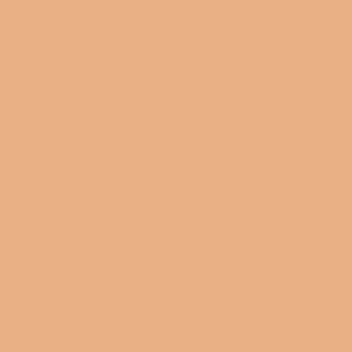 Aleph Beauty Concealer / Foundation