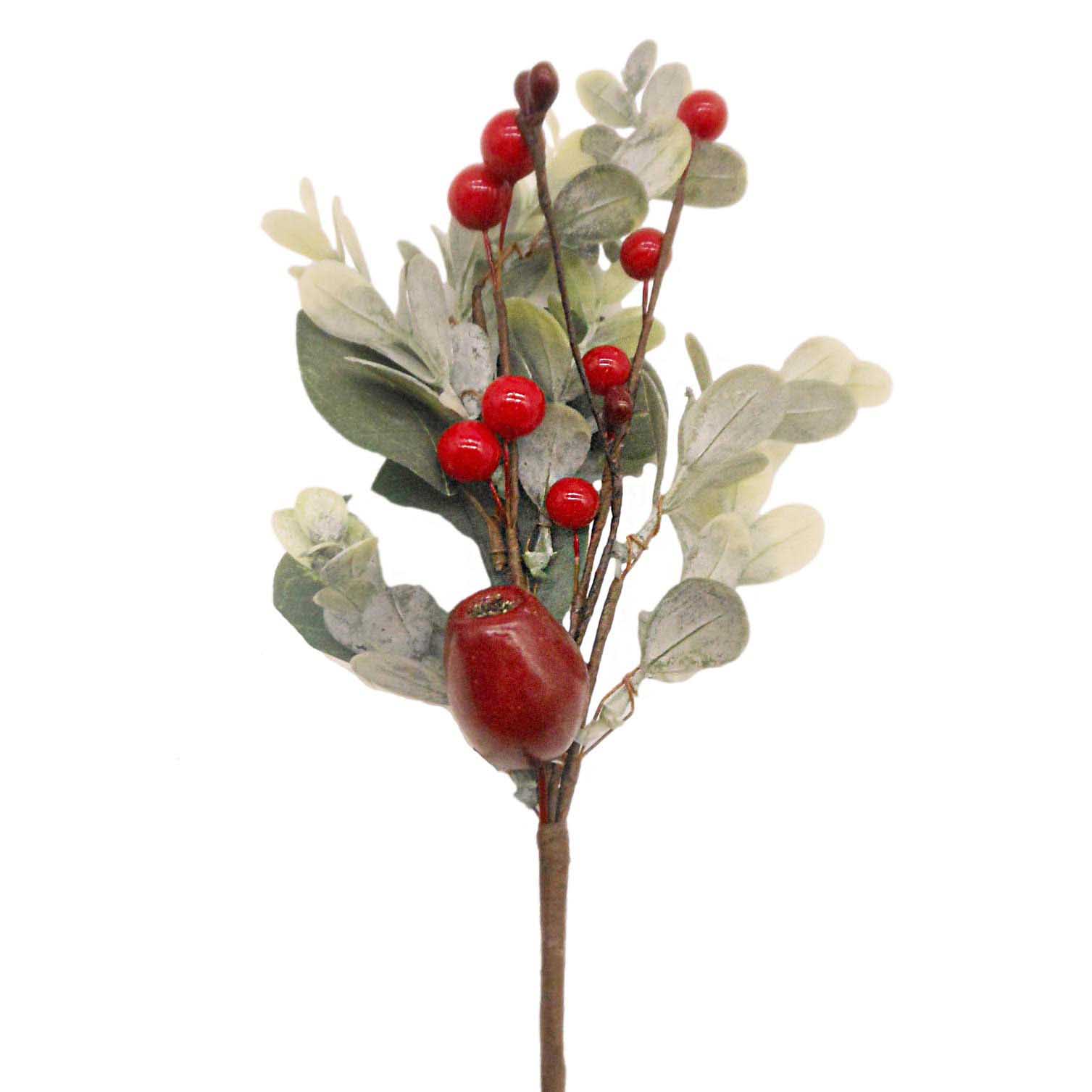 Pick With Eucalyptus & Red Berry