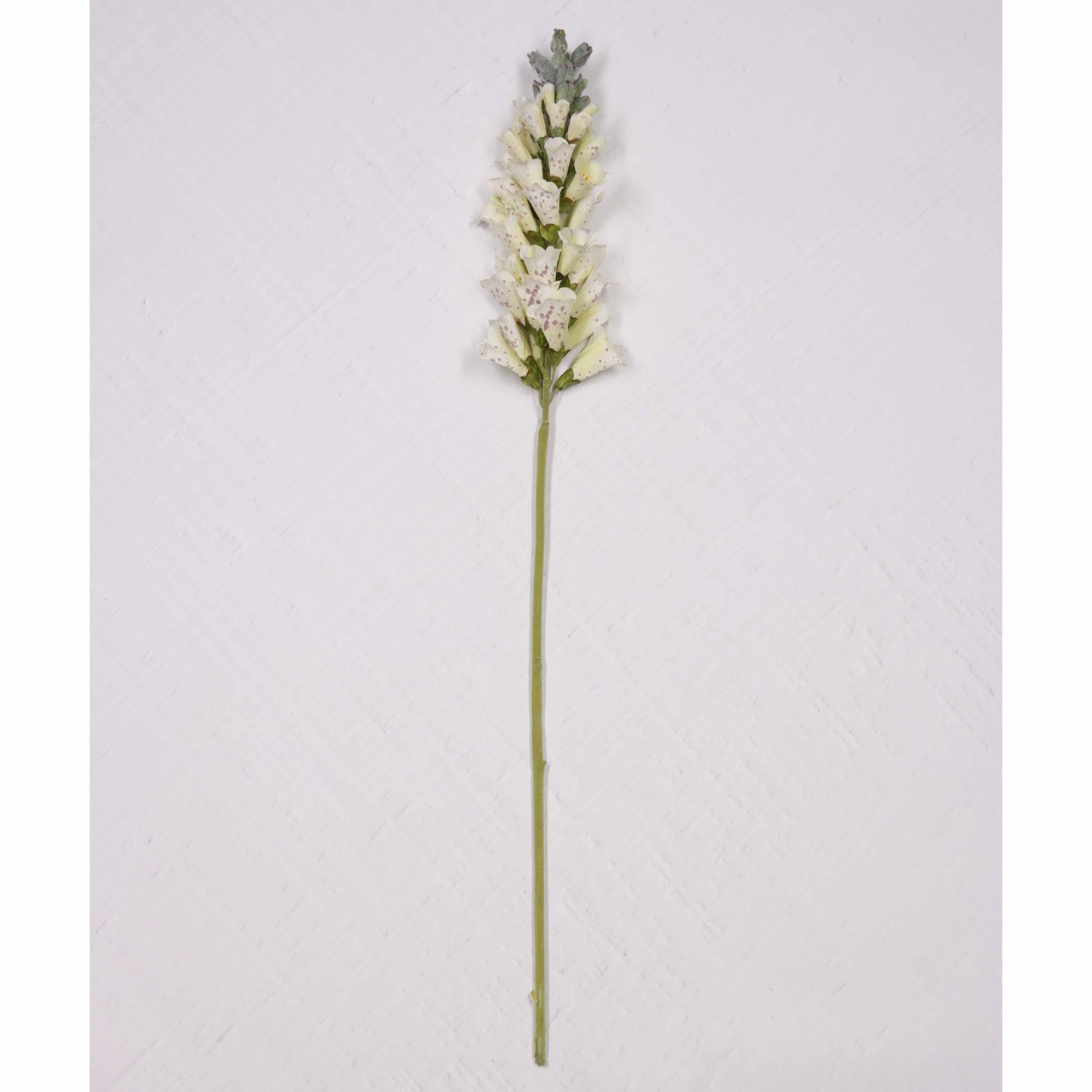 Large Foxglove White