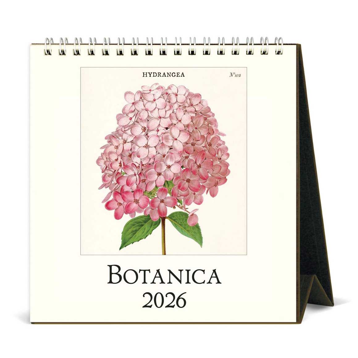Cavallini Botanica 2026 Desk Calendar