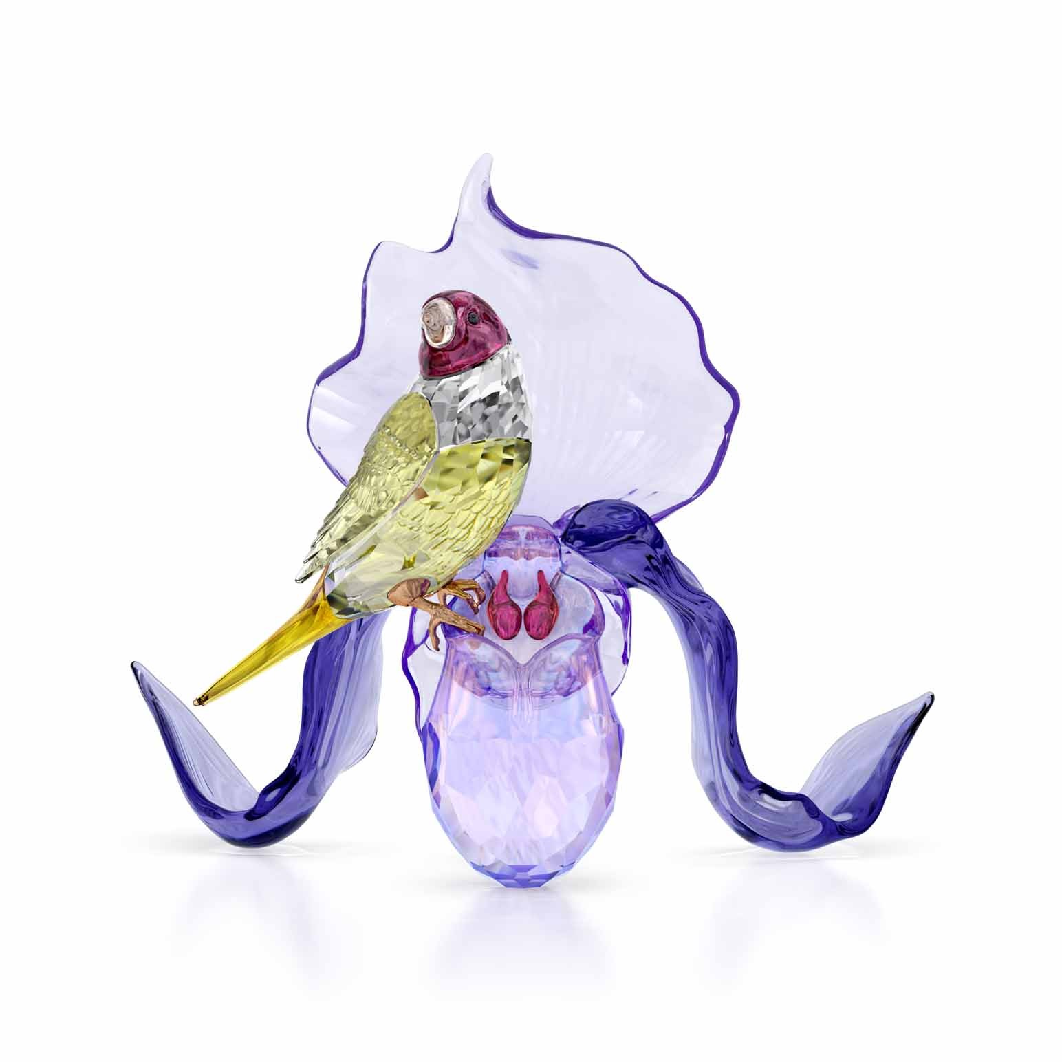 Swarovski Idyllia Gouldian Finch and Orchid