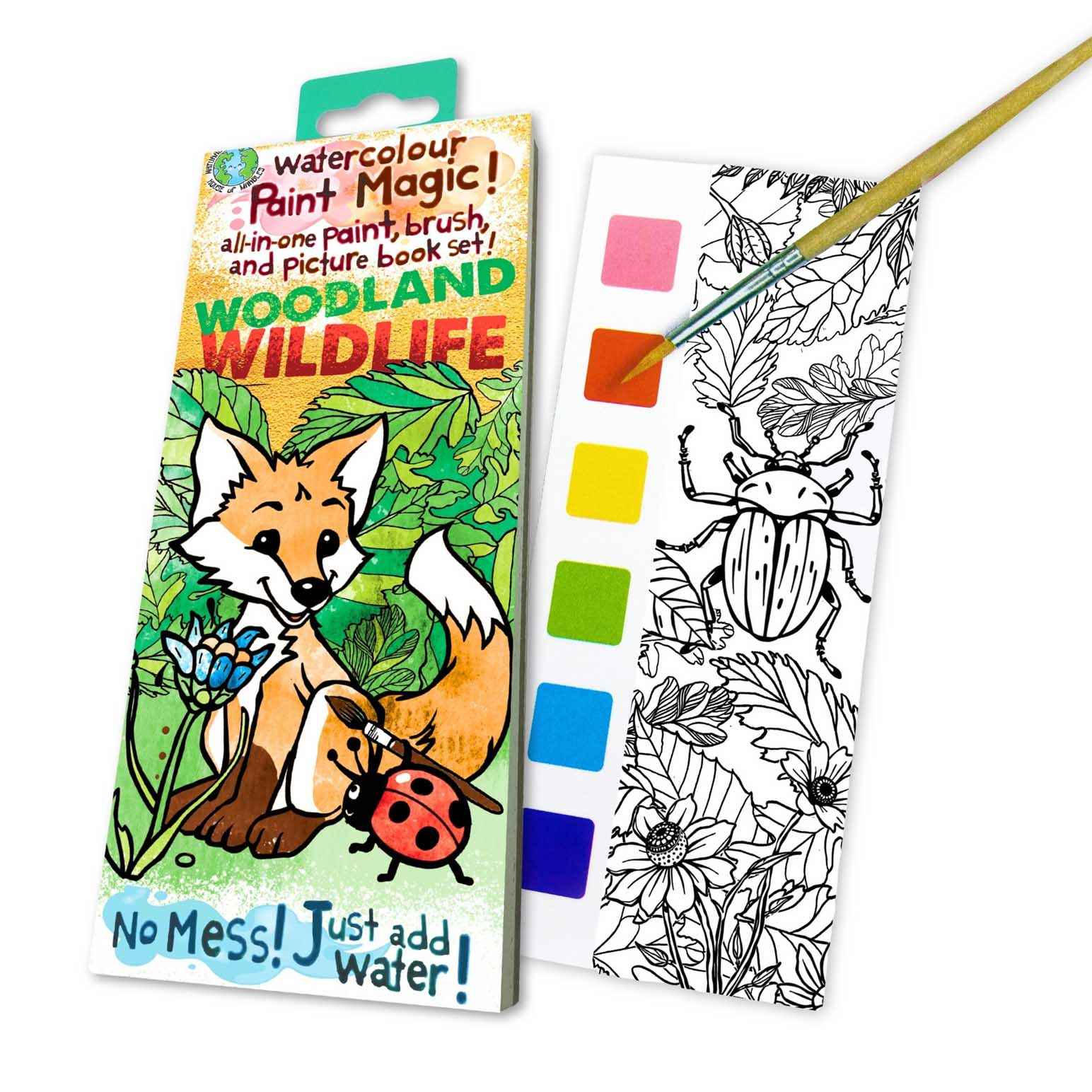 House of Marbles Paint Magic - Woodland Wildlife