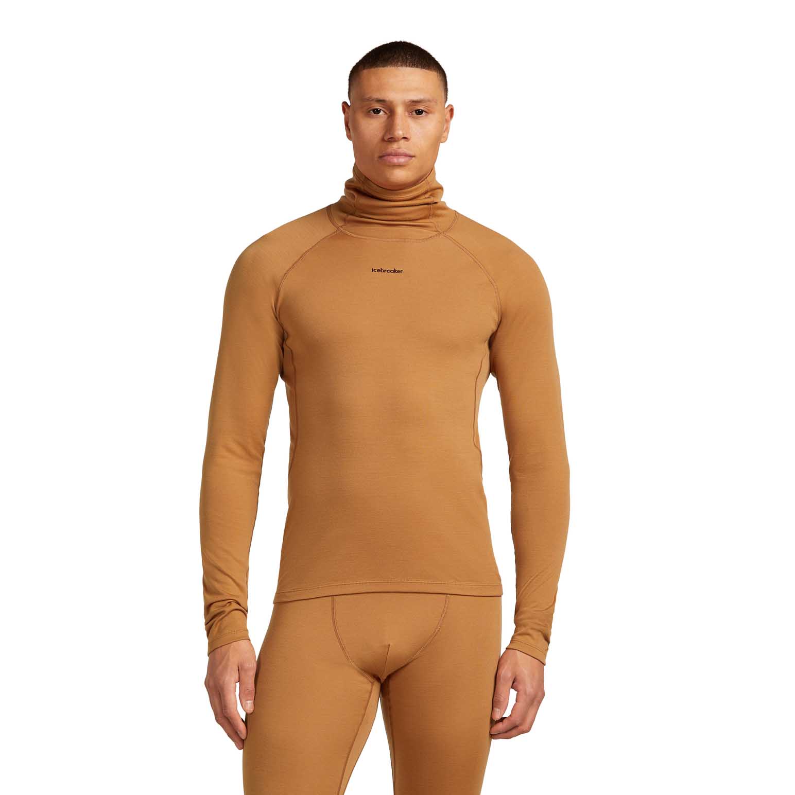 Icebreaker M 300 MerinoFine Polar LS Roll Neck