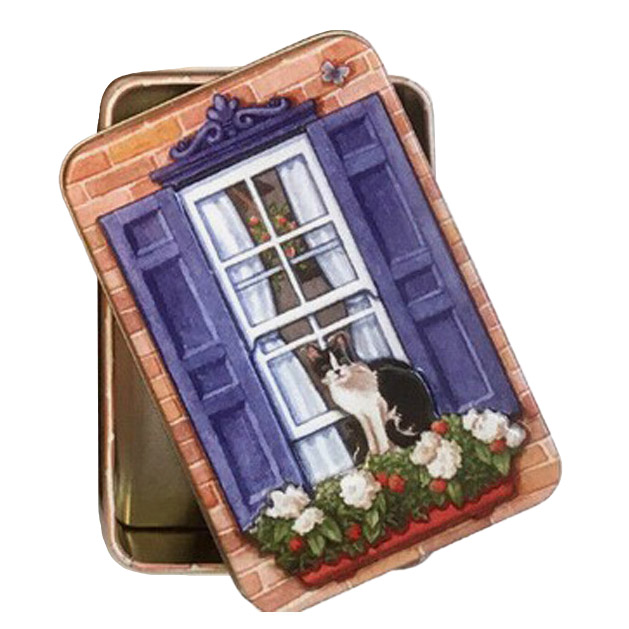 Dana Kubich Small Rectangle Cat On Window Sill Tin