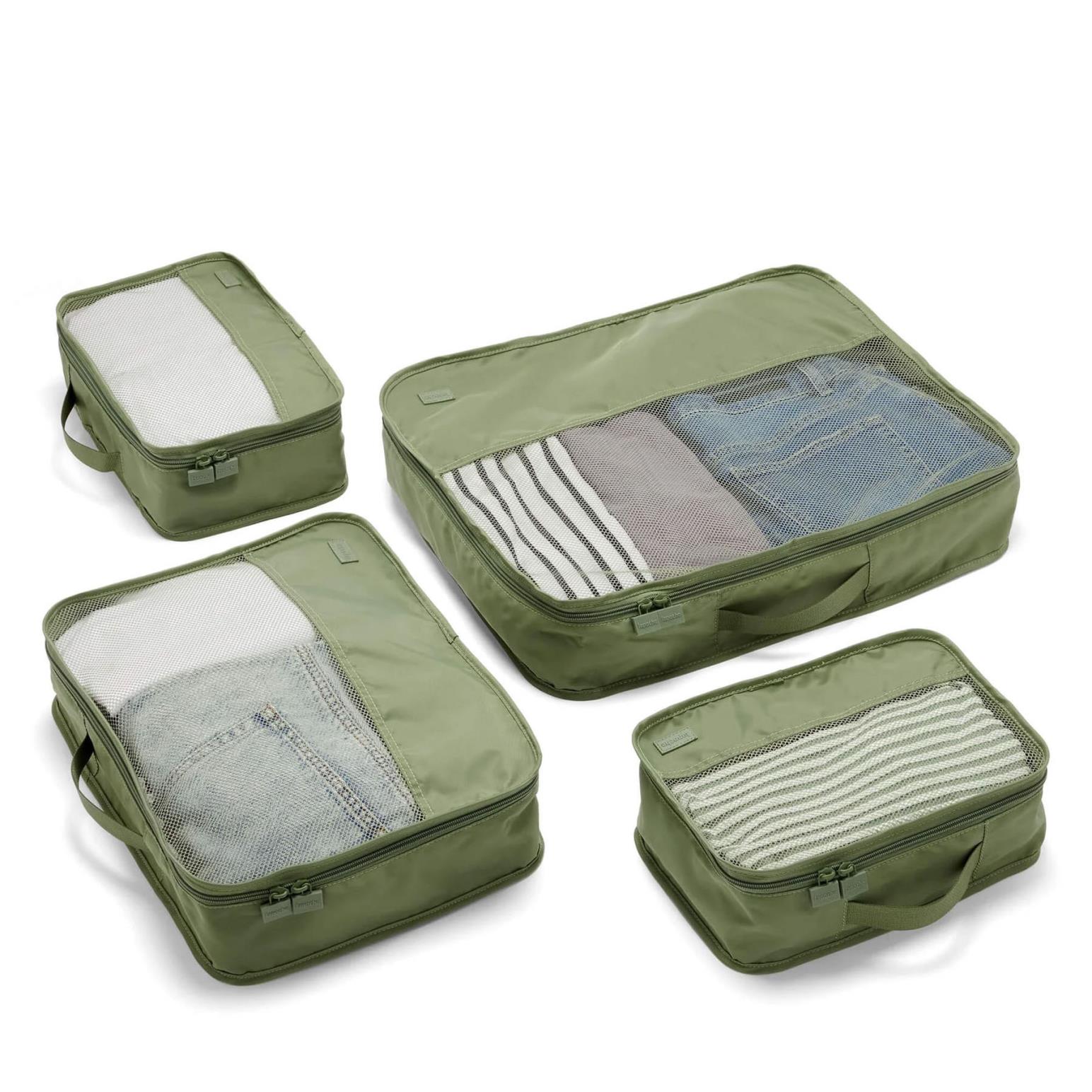 Lapoche Luggage Organiser - 4 Pack