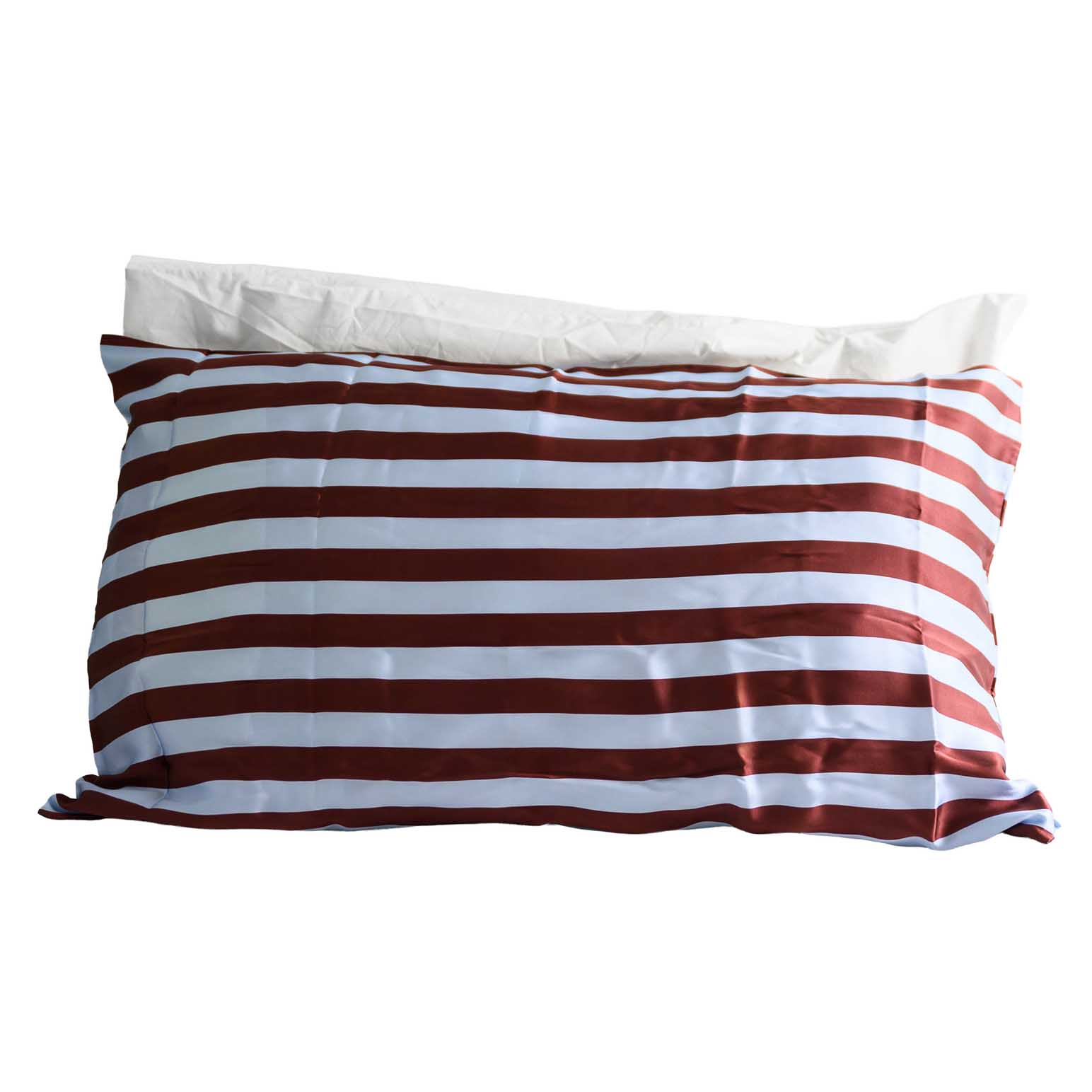Home Lab 100% Pure Silk Pillowcase
