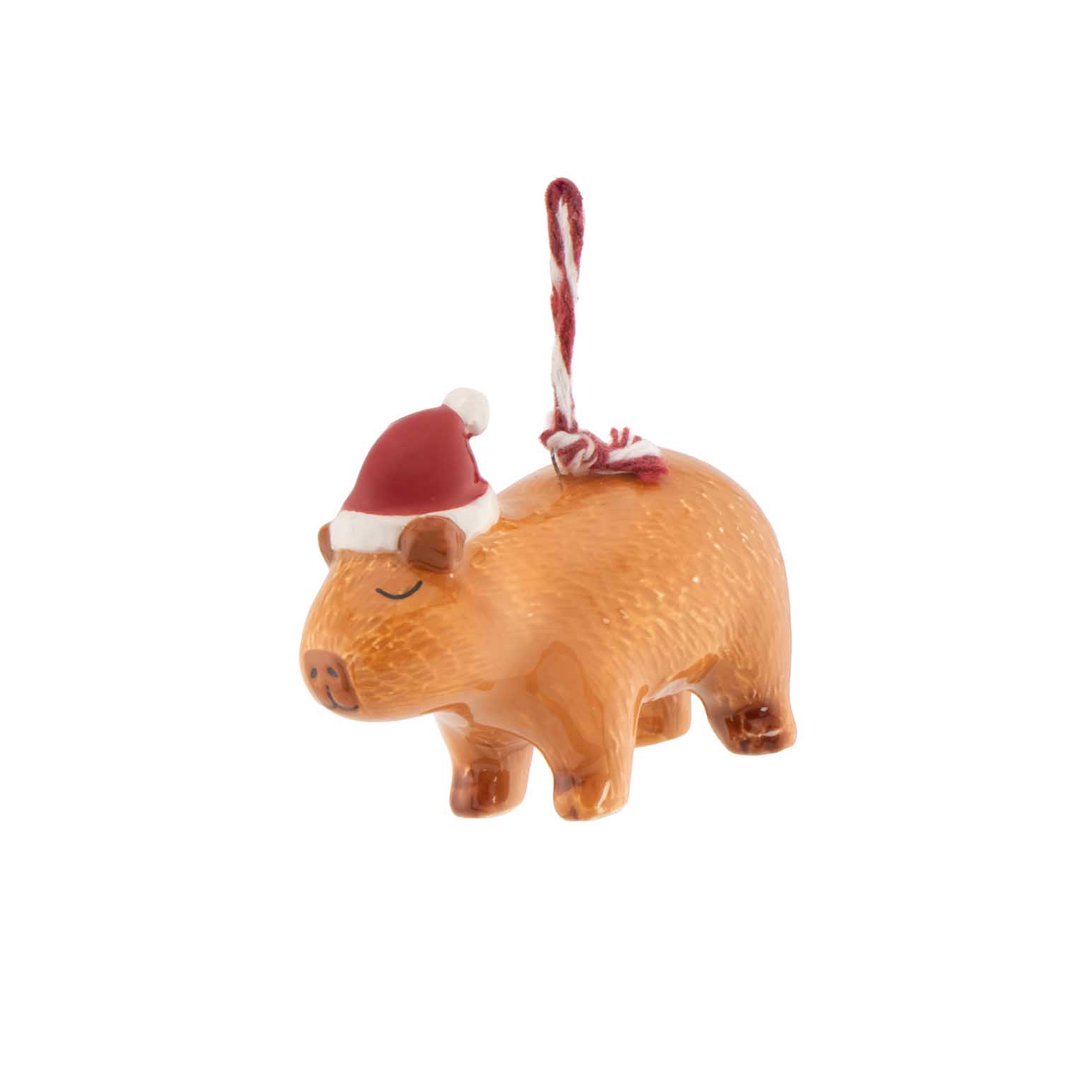Sass & Belle Capybara Shaped Ceramic Decoration